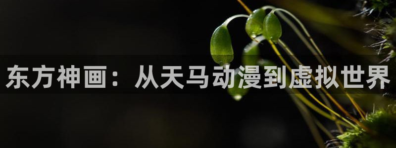 YY漫画完结大全:东方神画:从天马动漫到虚拟世界配图